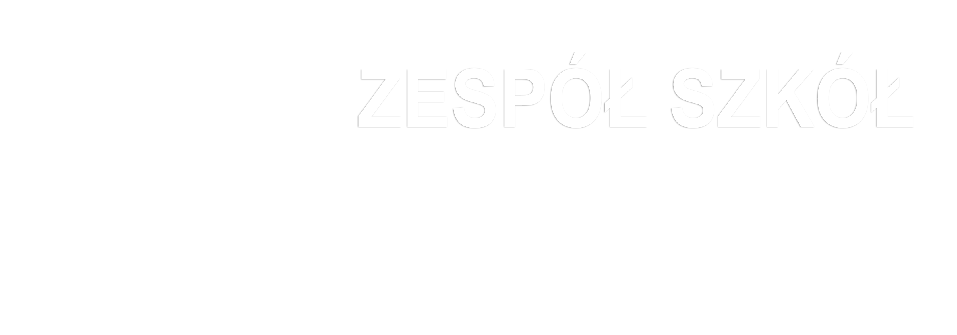 ZSMS Rzeszów – Zespół Szkół Mistrzostwa Sportowego w Rzeszowie